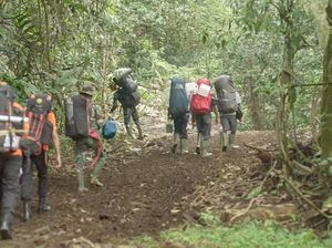 Dear Pendaki Gunung, ke Puncak Kerinci Sudah Bisa Lewat Jalur Solok Selatan