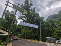 Menepi dari Sinyal, Menyambung Canda di Pinggir Hutan