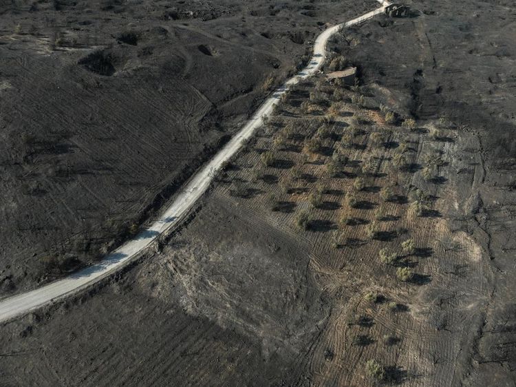 Kebakaran Hutan di Keratea Dekat Athena, Lahan Luas Hangus