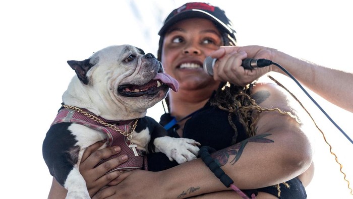 Lucu Banget, Anjing-Anjing Terjelek Adu Gaya di California Tawa dan sorak-sorai penonton pecah saat puluhan anjing dengan penampilan unik dan tak biasa berlenggak-lenggok di atas panggung Kontes Anjing Terjelek Sedunia tahunan di Sonoma-Marin Fair, Santa Rosa, California, Jumat (8/8/2025). REUTERS/Carlos Barria