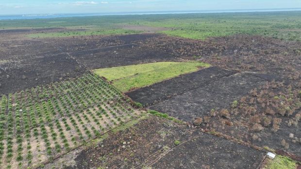 Potret lahan 100 hektare di Kabupaten Bengkalis, Riau usai dibakar dua tersangka, Sabtu (9/8/2025).