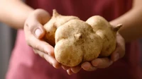 Sayuran unik lainnya, Jicama asal Meksiko. Umbian ini terasa renyah dan juicy. Kabarnya seperti paduan apel dan kentang. Nama lainnya water chestnut atau Mexican potato. Foto: Shutterstock via Mashed