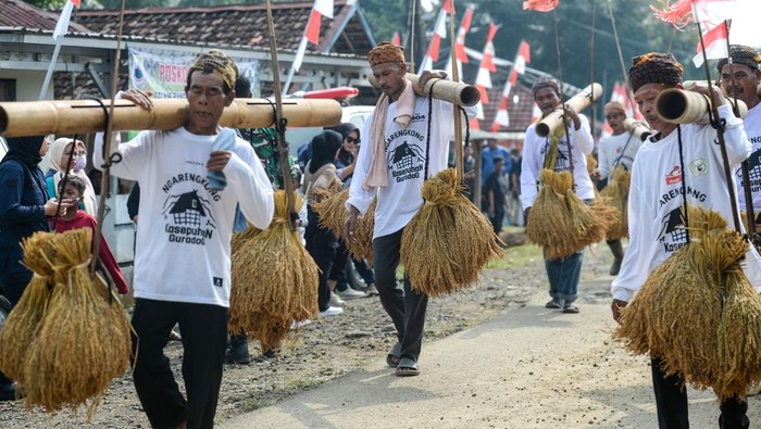 Warga Kasepuhan Guradog Kompak Rayakan Hari Masyarakat Adat Sedunia Masyarakat Kasepuhan Guradog membawa rengkong (padi) saat peringatan Hari Masyarakat Adat Sedunia di Guradog, Lebak, Banten, Sabtu (9/8/2025). Peringatan Hari Masyarakat Adat Sedunia yang diikuti sejumlah delegasi negara di Asia itu bertujuan untuk melestarikan adat serta deklarasi mencegah praktik perampasan tanah adat dan eksploitasi sumber daya alamnya. ANTARA FOTO/Muhammad Bagus Khoirunas