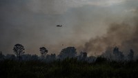 Tim gabungan berjuang di tengah panas dan asap tebal memadamkan api di Ogan Ilir. ANTARA FOTO/NOVA WAHYUDI