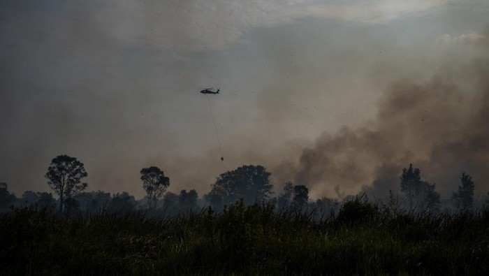 Petugas dari Manggala Agni Daops Banyuasin melakukan pemadaman kebakaran lahan di Desa Soak Batok, Indralaya Utara, Ogan Ilir (OI), Sumatera Selatan, Minggu (10/8/2025). Kebakaran lahan yang menghanguskan lahan seluas lima hektare tersebut berhasil dipadamankan oleh petugas gabungan Manggala Agni Daops Banyuasin, BPBD, TNI, Polri dan dua helikopter sikorsky milik BNPB. ANTARA FOTO/Nova Wahyudi/YU