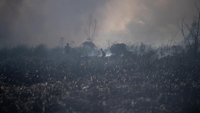 Petugas dari Manggala Agni Daops Banyuasin melakukan pemadaman kebakaran lahan di Desa Soak Batok, Indralaya Utara, Ogan Ilir (OI), Sumatera Selatan, Minggu (10/8/2025). Kebakaran lahan yang menghanguskan lahan seluas lima hektare tersebut berhasil dipadamankan oleh petugas gabungan Manggala Agni Daops Banyuasin, BPBD, TNI, Polri dan dua helikopter sikorsky milik BNPB. ANTARA FOTO/Nova Wahyudi/YU