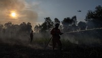 Petugas dari Manggala Agni Daops Banyuasin melakukan pemadaman kebakaran lahan di Desa Soak Batok, Indralaya Utara, Ogan Ilir (OI), Sumatera Selatan, Minggu (10/8/2025).  ANTARA FOTO/NOVA WAHYUDI