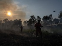 Api Hanguskan 5 Hektare Lahan di Ogan Ilir