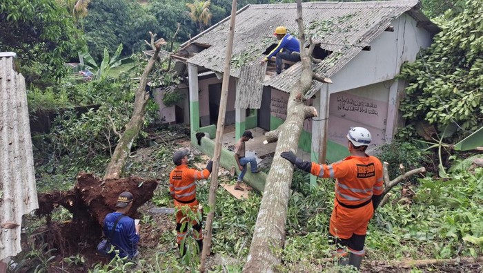 Pohon tumbang di Bogor, Jawa Barat, imbas hujan deras, Sabtu (9/8/2025) malam. (BPBD Kota Bogor)