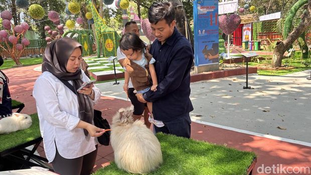 Wahana baru Rabbits In Wonderland di KBS