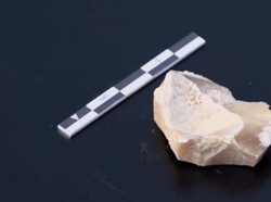 Video Ada Temuan Baru di Sulawesi soal Migrasi Manusia Purba