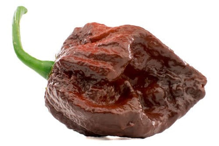 Cabai terpedas di dunia 2025 Carolina Reaper Kalah! Ini 10 Cabai Terpedas di Dunia Tahun 2025