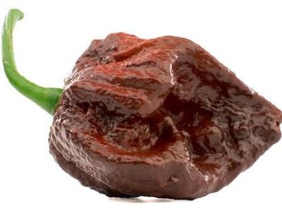 Carolina Reaper Kalah! Ini 10 Cabai Terpedas di Dunia Tahun 2025