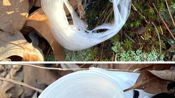 Fenomena es apa ya ini, aneh banget. Foto: via BrightSide