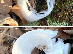 Hal-hal di Internet yang Bikin Orang Penasaran