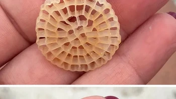 Benda ini banyak ditemukan di tepi pantai di Sardinia, Italia. Apa ya? Foto: via BrightSide