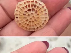 Hal-hal di Internet yang Bikin Orang Penasaran