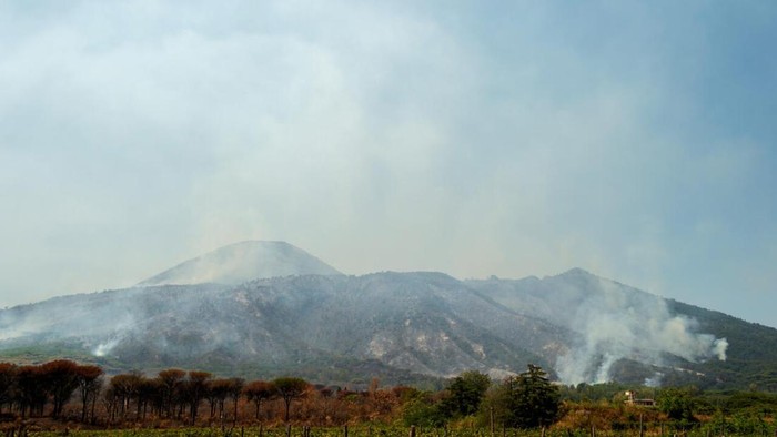Kebakaran hutan di Gunung Vesuvius, Italia