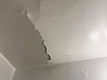 Mau Ganti Plafon Rumah? Segini Kisaran Dana yang Harus Disiapkan