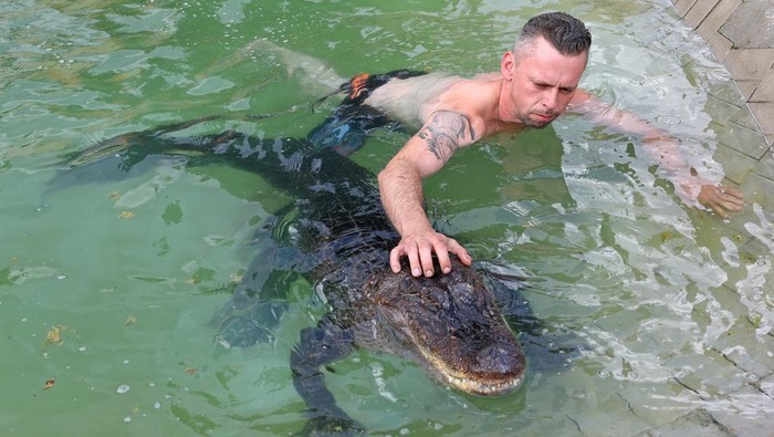 Former circus artist Krystian Kaulis pets Mrs Meyer, an American alligator, as he takes a swim in the outdoor pool in Elmenhorst, Germany, August 1, 2025. REUTERS/Lisi Niesner
