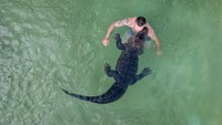 Kaulis memberi makan Frau Meyer dengan penuh hati-hati. Meski berbobot 100 kg dan bergigi tajam, aligator ini tak pernah menyerang pemiliknya. Foto: REUTERS/Lisi Niesner
