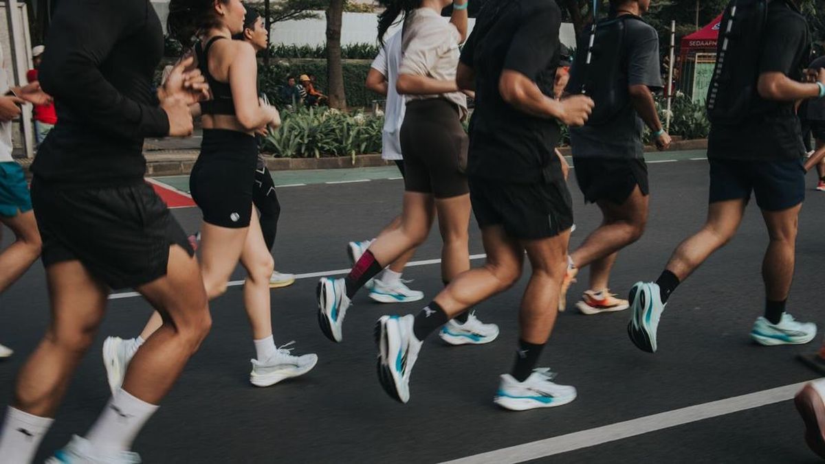 Meerkat bilan jinsiy aloqa