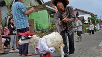 Domba berhias warna-warni menjadi daya tarik utama karnaval HUT ke-80 RI sekaligus promosi peternakan lokal di Temanggung, Jawa Tengah. Foto: ANTARA FOTO/Anis Efizudin