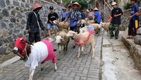 Warga dan peternak domba berbaur dalam karnaval kemerdekaan yang diikuti sekitar seratus ekor domba. Foto: ANTARA FOTO/Anis Efizudin