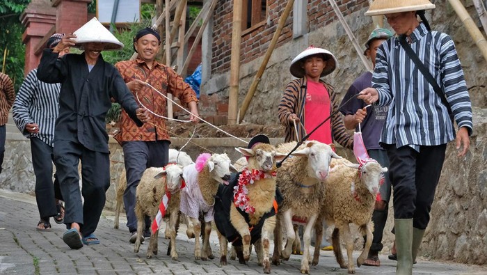 Seratusan Domba Meriahkan Karnaval HUT ke-80 RI di Temanggung Sejumlah peternak menuntun domba saat karnaval memeriahkan HUT ke-80 Kemerdekaan RI di Desa Konservasi Gunung Gempol, Jumo, Temanggung, Jawa Tengah, Senin (11/8/2025). Karnaval keliling kampung di desa yang sebagain besar warganya peternak domba tersebut diikuti sedikitnya seratus ekor domba untuk menyemarakkan HUT ke-80 Kemerdekaan RI sekaligus sebagai media promosi, hiburan dan ajang silaturahim sesama peternak. ANTARA FOTO/Anis Efizudin/nym.