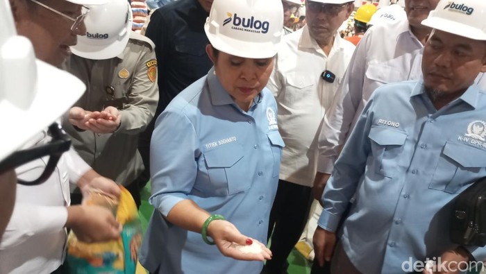 Ketua Komisi IV DPR, Titiek Soeharto mengecek kualitas beras di gudang Bulog Sulselbar, di Makassar, Sulawesi Selatan (Sulsel), Senin (11/8/2025).
