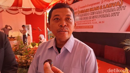 Dirut Pemenuhan Gizi Nasional Badan Gizi Nasional (BGN), Nurjaeni, saat diwawancarai detikBali di SPN Polda NTT, Selasa (12/8/2025). (Yufengki Bria/detikBali).