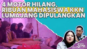 Video: Para Mahasiswa KKN Diamankan Demi Keamanan