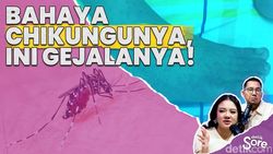 Video: Wabah Chikungunya di Jawa Barat: 6000 Orang Terjangkit