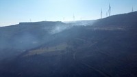 Abu dan sisa vegetasi terbakar membentang di area bekas kebakaran. REUTERS/Efekan Akyuz