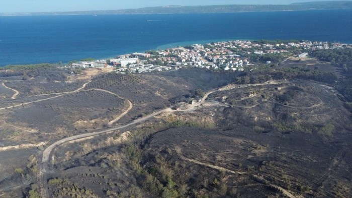 Dampak kebakaran hutan terlihat jelas di Erenkoy, Canakkale, Turki. Foto udara menunjukkan lahan hangus dan kerusakan parah di kawasan barat laut Turki.