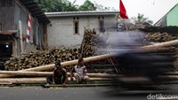 Pedagang musiman mulai menjajakan batang pinang setinggi 5–7 meter yang telah dibersihkan dan dicat merah-putih.  