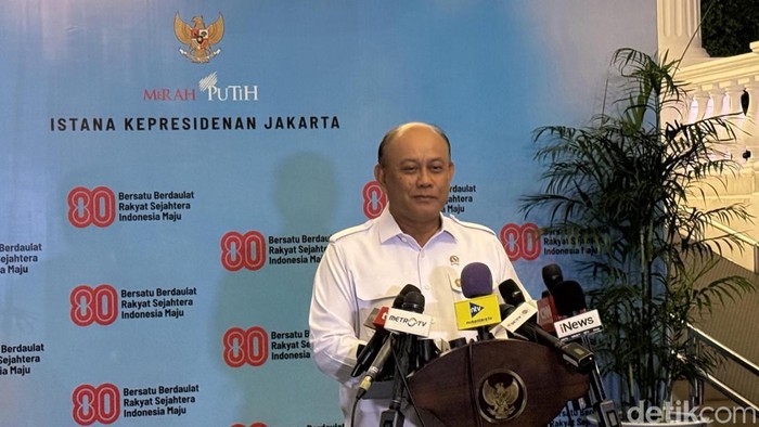 Kepala Badan Gizi Nasional (BGN) Dadan Hindayana (Eva/detikcom)