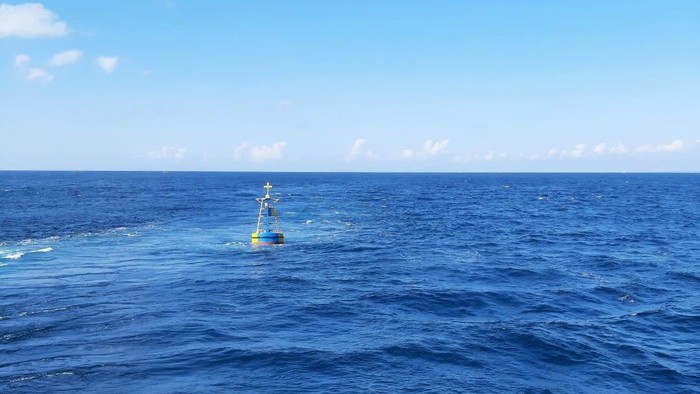 Tim pengangkat bangkai KMP Tunu Pratama Jaya saat observasi di Selat Bali