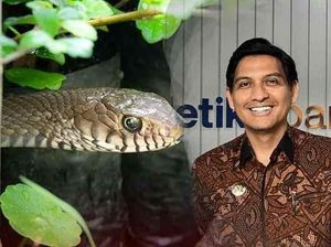 Lucky Hakim Lepas Ribuan Ular, Pakar Unpad Soroti 3 Hal Ini