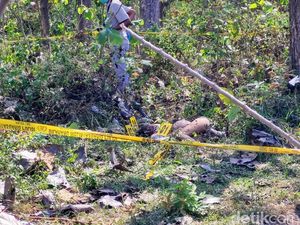 Pembunuhan Wanita di Hutan Ponorogo, Suami Bikin Skenario Korban Dikeroyok