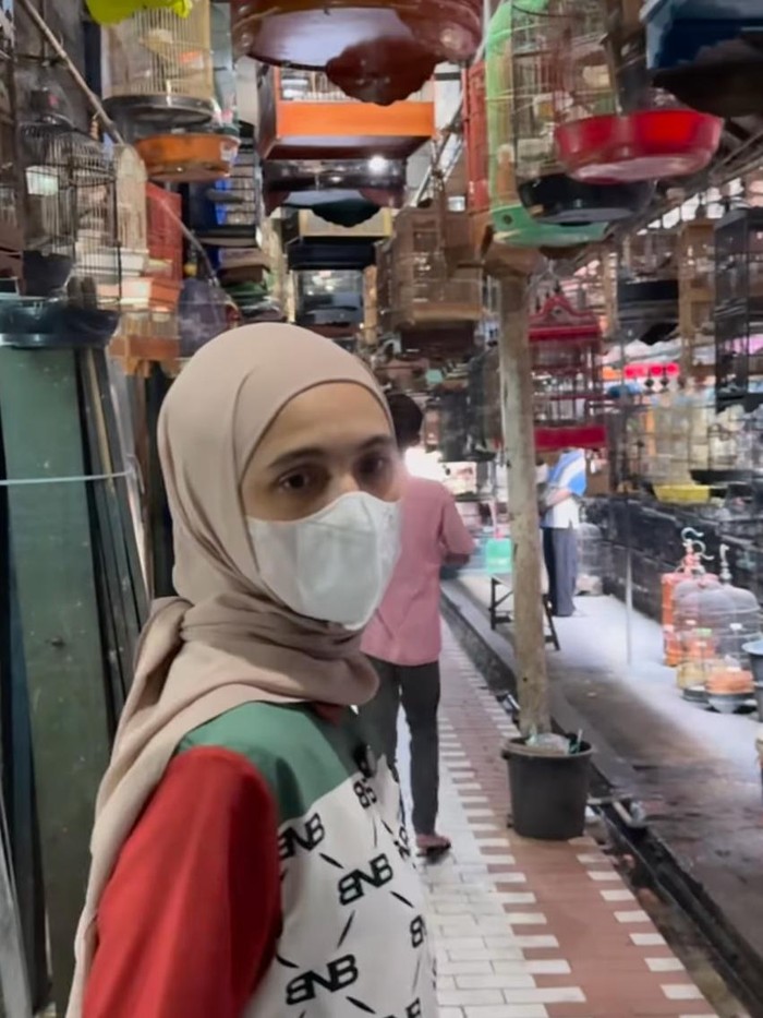 Nycta Gina hadiahi burung ke Kinos