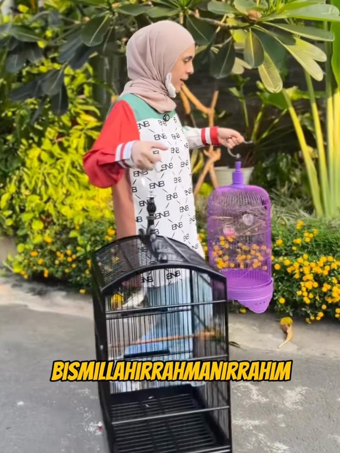 Nycta Gina hadiahi burung ke Kinos