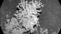 Penjelajah Mars Curiosity milik NASA menggunakan Remote Micro Imager, bagian dari instrumen ChemCam-nya, untuk mengamati batuan yang terkikis angin ini, yang berbentuk seperti sepotong karang, pada 24 Juli 2025. Curiosity telah menemukan banyak batuan seperti ini, yang terbentuk oleh air purba yang dikombinasikan dengan semburan pasir oleh angin selama miliaran tahun. Foto: (NASA)