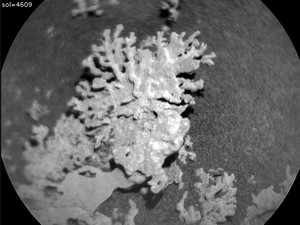 Temuan Mengejutkan di Balik Bongkahan Batu dari Mars