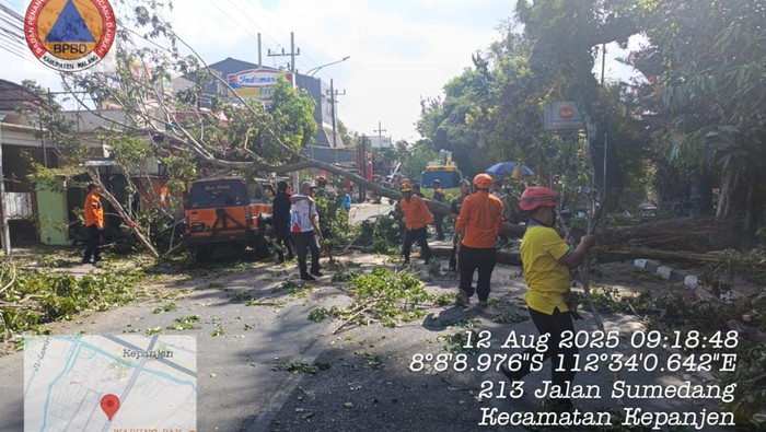 Penanganan pohon tumbang oleh BPBD Kabupaten Malang