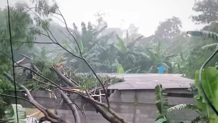 Peristiwa pohon tumbang terjadi di Jatirasa, Jatiasih, Kota Bekasi, Jawa Barat. Peristiwa itu terjadi saat hujan deras disertai angin kencang berlangsung. (dok Pribadi/Cidelrey)