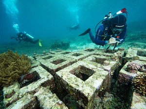 Jurus Harita Nickel Kebut Restorasi Terumbu Karang di Pulau Obi