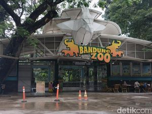 7 Fakta Tuntutan 15 Tahun Bui Terdakwa Kasus Korupsi Bandung Zoo