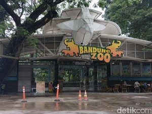 Farhan Ungkap Ada 4 Lembaga Bidik Pengelolaan Bandung Zoo
