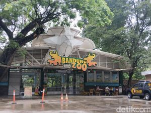 Tiga Opsi Penentu Nasib Kebun Binatang Bandung